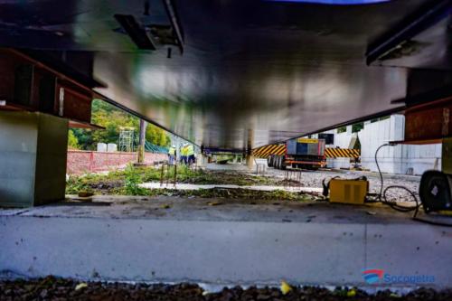 DSC08736  Web